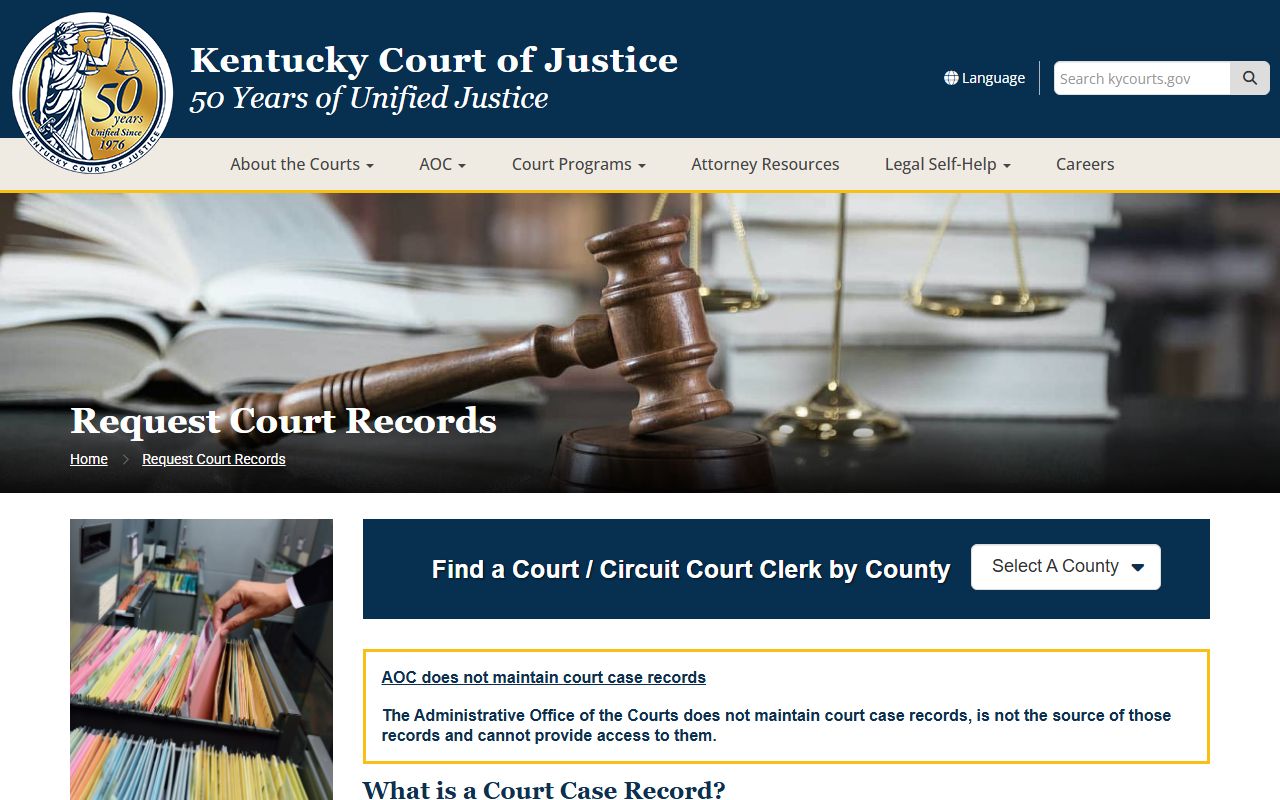 Wayne County Court records request court records guidance