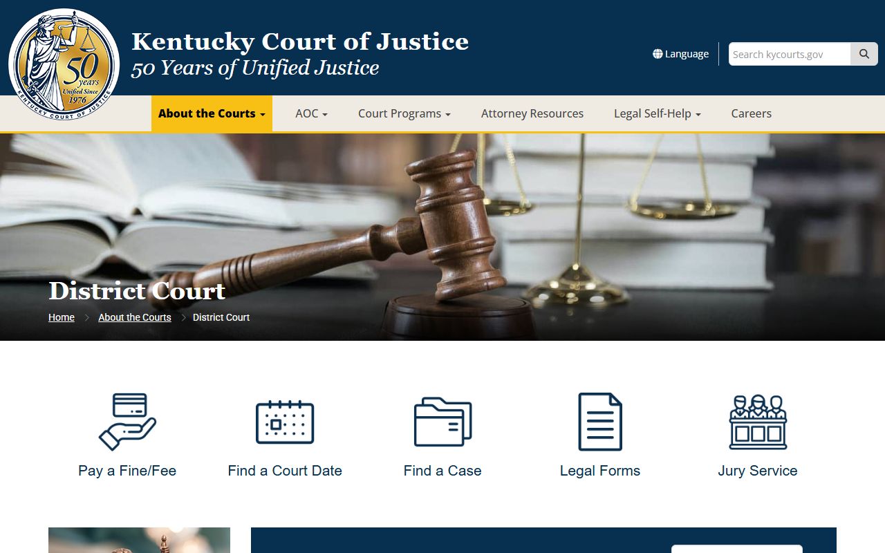 Wayne County traffic court records District Court jurisdiction